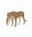 Cheetah Female with Cub Toy  Realistic African Wildlife Figurine