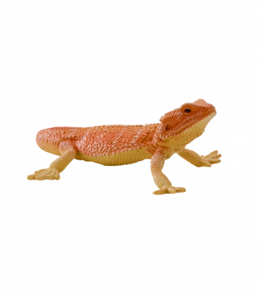 Bearded Dragon Toy  Realistic Reptile Model