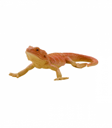 Bearded Dragon Toy  Realistic Reptile Model