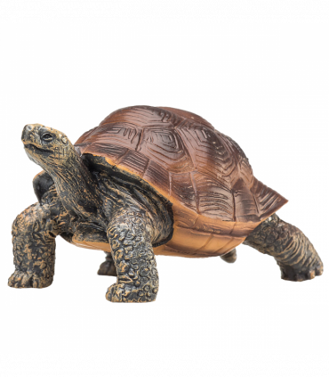 Giant Tortoise Toy  Realistic Reptile Model