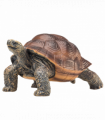 Giant Tortoise Toy  Realistic Reptile Model