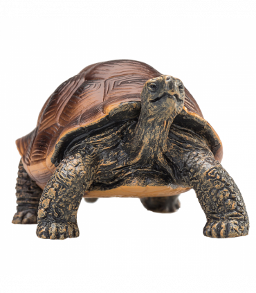 Giant Tortoise Toy  Realistic Reptile Model