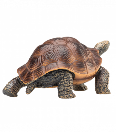 Giant Tortoise Toy  Realistic Reptile Model
