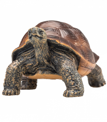 Giant Tortoise Toy  Realistic Reptile Model