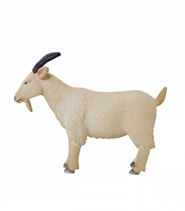Billy Goat Toy  Realistic Farm Animal Model