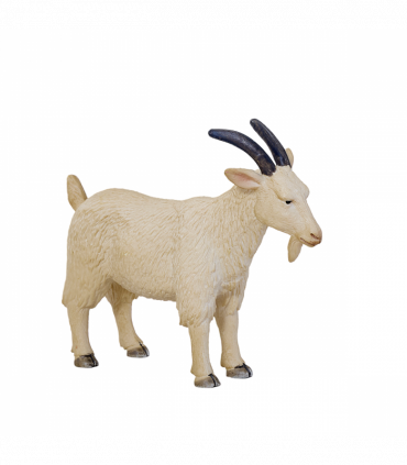 Billy Goat Toy  Realistic Farm Animal Model