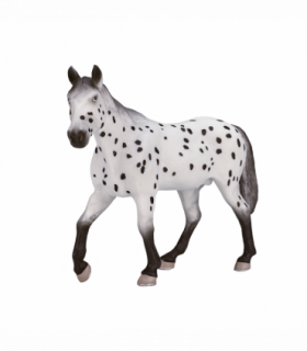 Appaloosa Stallion Horse Toy  Realistic Equestrian Model