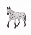 Appaloosa Stallion Horse Toy  Realistic Equestrian Model