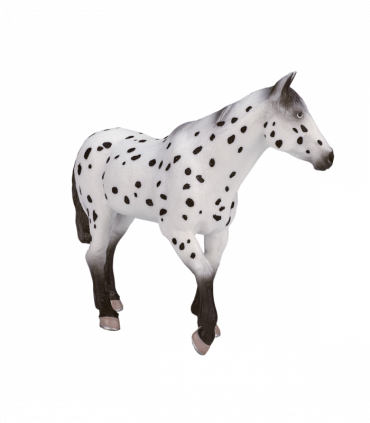 Appaloosa Stallion Horse Toy  Realistic Equestrian Model