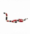 Coral Snake Toy  Realistic Reptile Figurine
