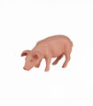 Piglet Feeding Toy  Realistic Farmyard Animal Figure