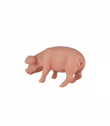 Piglet Feeding Toy  Realistic Farmyard Animal Figure