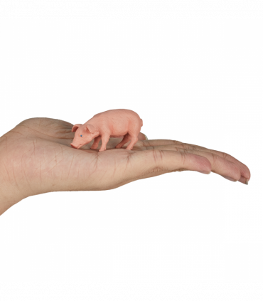 Piglet Feeding Toy  Realistic Farmyard Animal Figure
