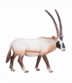 Arabian Oryx Toy  Realistic Desert Wildlife Model
