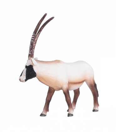Arabian Oryx Toy  Realistic Desert Wildlife Model