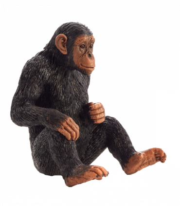Chimpanzee Toy  Realistic Wildlife Animal Model