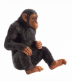 Chimpanzee Toy  Realistic Wildlife Animal Model
