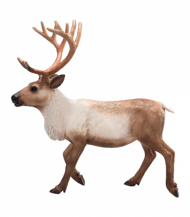 Reindeer Toy  Realistic Arctic Wildlife Figurine