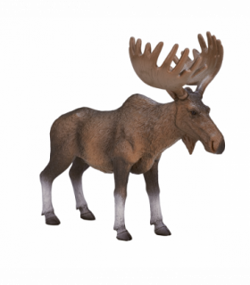 Moose Toy  Realistic Woodland Wildlife Figurine