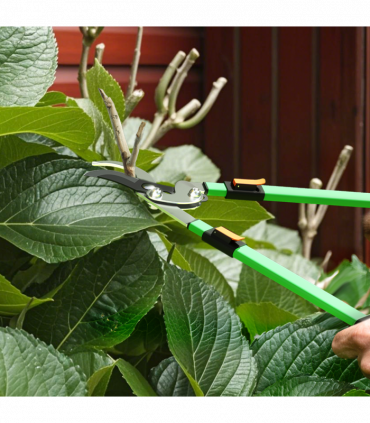 Garden Shears