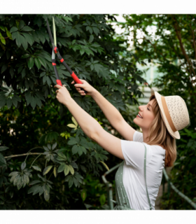 Garden Shears