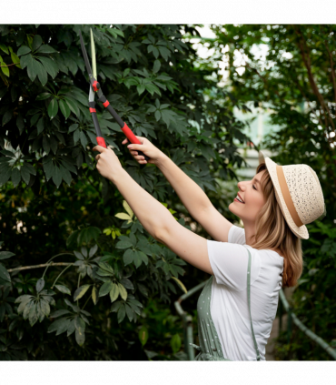 Garden Shears