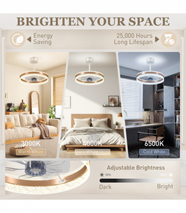 Ceiling Fan with LED Light and Remote