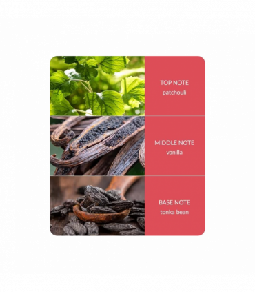 True Enchantment Reed Diffuser - 70ml - Up to 12 Weeks of Fragrance