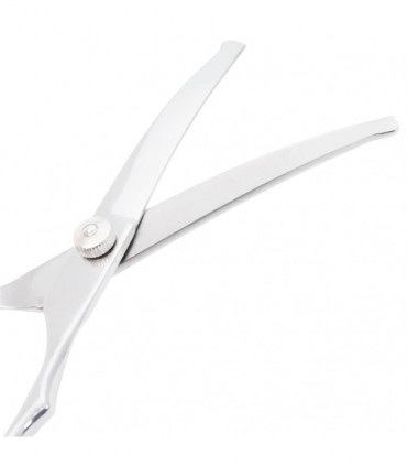 vidaXL 6 Piece Dog Grooming Scissors Set Stainless Steel