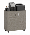 Vinsetto 2-Tier Locking Filing Cabinet Office Storage Cabinet, Grey