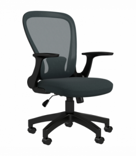 Vinsetto Mesh Office Chair, Computer Chair with Adjustable Armrest, Grey