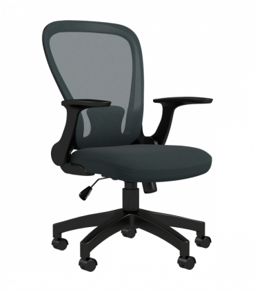 Vinsetto Mesh Office Chair, Computer Chair with Adjustable Armrest, Grey