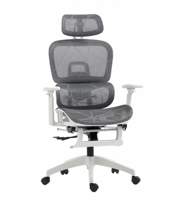 HOMCOM Ergonomic Office Chair Swivel Computer Chair with 3D Armrest Grey