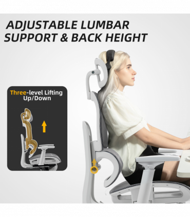 HOMCOM Ergonomic Office Chair Swivel Computer Chair with 3D Armrest Grey