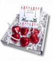 Merry & Bright Christmas Mini Gift Hamper with Silver Star Earrings