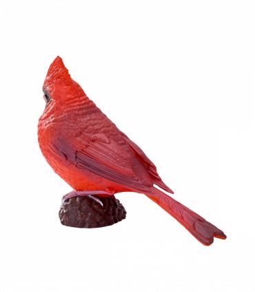 Red Cardinal Bird Toy  Realistic Wildlife Model