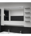 Wall Mirror with 5 Shelves Silver 100x60 cm