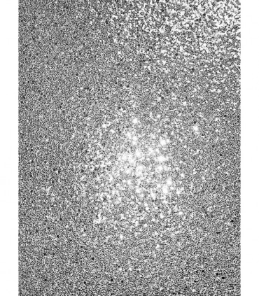 Sequin Sparkle Silver sw9