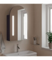 vidaXL Bathroom Mirror Cabinet with LED Light Arched Grey 42x13x70 cm