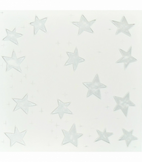 Silver Stars: Decorative Ceiling & Wall Panels - 2m2 (21.52 sqft) - 8 Panels