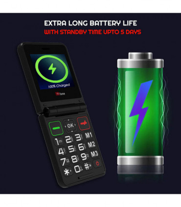 TTfone TT660 Flip Big Button Mobile with EE SIM, USB C Dock Charger