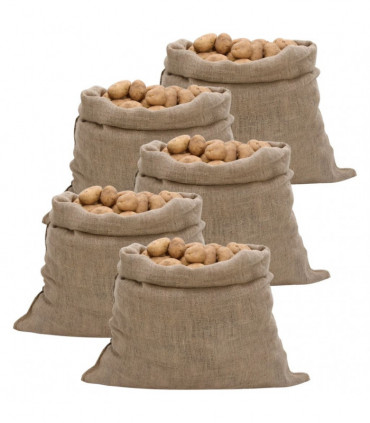 vidaXL Jute Sacks 5 pcs 100x110 cm 100% Jute 220 gsm