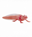 Axolotl Toy  Realistic Amphibian Figurine