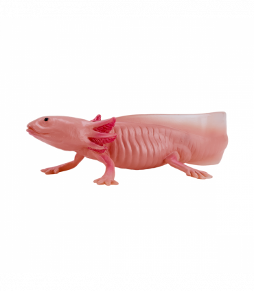 Axolotl Toy  Realistic Amphibian Figurine