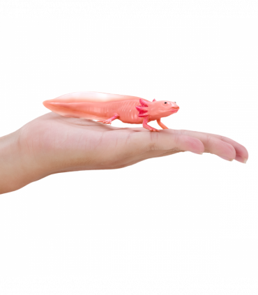 Axolotl Toy  Realistic Amphibian Figurine