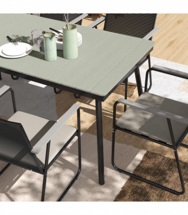 Primula Denticulata Lilac 9cm