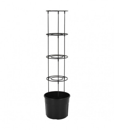 Tomato Grower Anthracite Ø29.5x115 cm Polypropylene