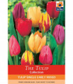 Tulip Single Early Mixed (7 Bulbs)