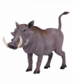 Warthog Toy  Realistic African Wildlife Model
