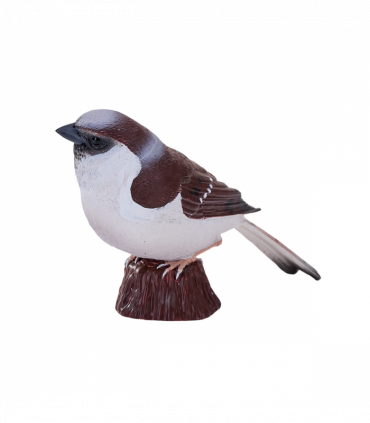 House Sparrow Bird Toy  Realistic Wildlife Figurine